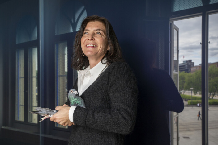 For å sette søkelys på pressefrihet slapp Kjersti Løken Stavrum en fredsdue fra vinduene på Nobels Fredssenter fredag. For å sette søkelys på pressefrihet slapp Kjersti Løken Stavrum en fredsdue fra vinduene på Nobels Fredssenter fredag.