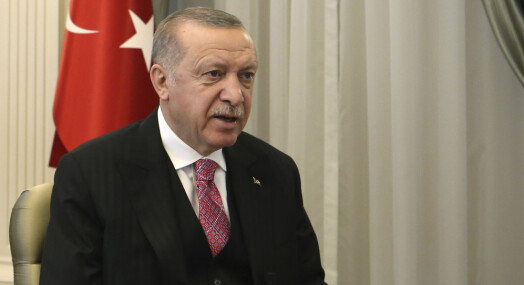 Minst elleve pågrepet i Tyrkia for Twitter-poster