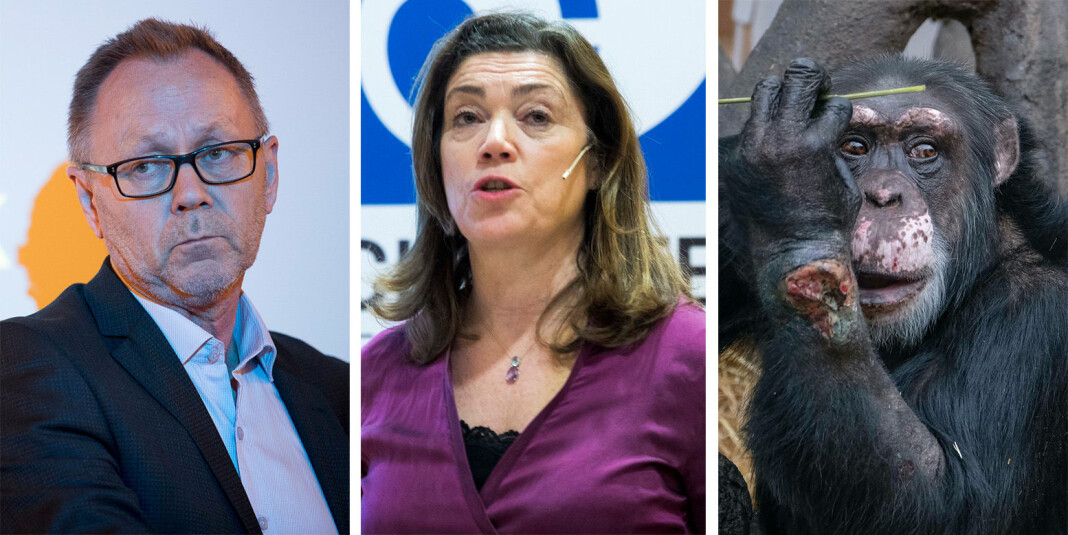Norsk presse er i front når det gjelder å skape blest rundt sine saker på nett. Nå går de store mediehusene sammen og oppretter Klikkhorehus.no, der John Arne Markussen (til venstre), Kristin Skogen Lund (midten) og Julius (delvis sladdet) er pressebordellens leder. Norsk presse er i front når det gjelder å skape blest rundt sine saker på nett. Nå går de store mediehusene sammen og oppretter Klikkhorehus.no, der John Arne Markussen (til venstre), Kristin Skogen Lund (midten) og Julius (delvis sladdet) er pressebordellens leder.