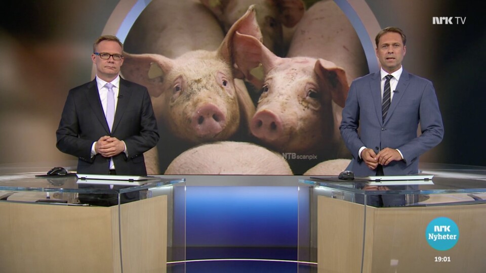 NRK-dokumentaren ble etterfulgt av en studiodebatt. NRK-dokumentaren ble etterfulgt av en studiodebatt.