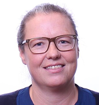 Psykologiprofessor ved Politihøyskolen Brita Bjørkelo. Psykologiprofessor ved Politihøyskolen Brita Bjørkelo.