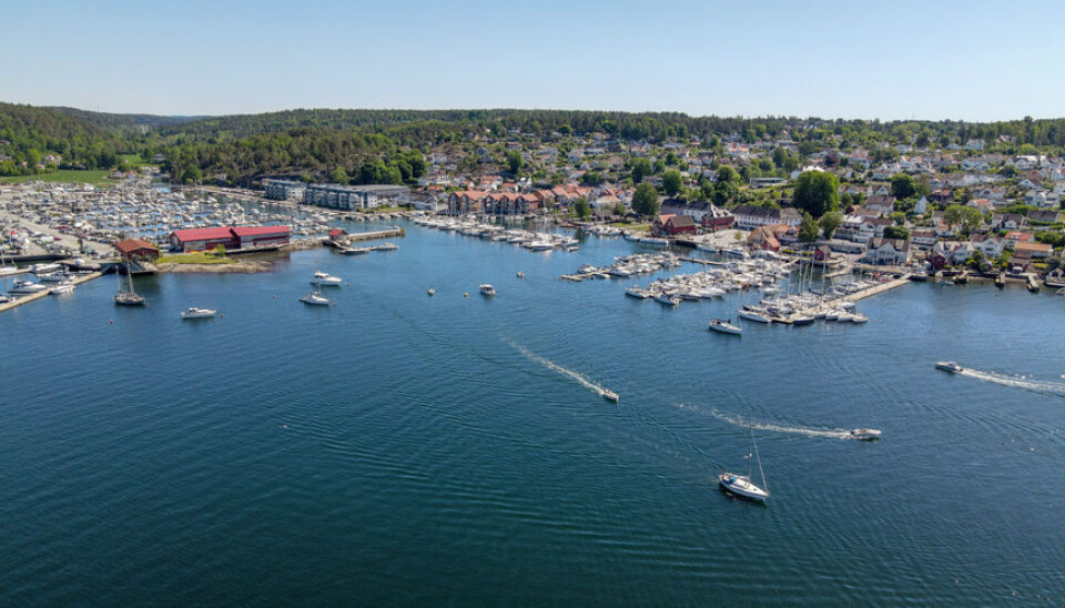 Vestby Avis søker sommervikarer