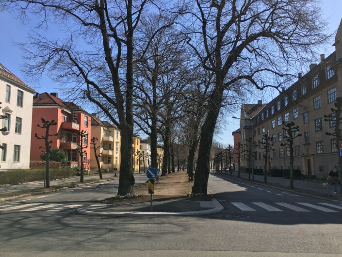 Sykkelfelt eller ikke. Konflikten i Gyldenløves gate har fått mye medieoppmerksomhet. Sykkelfelt eller ikke. Konflikten i Gyldenløves gate har fått mye medieoppmerksomhet.