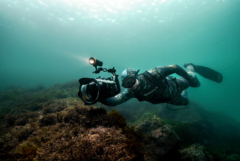 Fridykker og fotograf Aleksander Nordahl på jobb under vann.