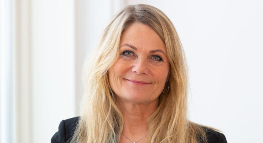 Stort oppsving for annonser i mediene Stort oppsving for annonser i mediene