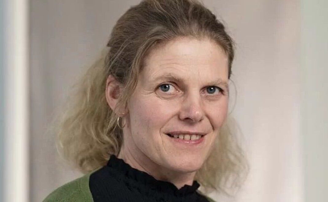 Ellen Lange begynner som ny redaktør i Museumsnytt etter mange år ved Teknisk museum. Ellen Lange begynner som ny redaktør i Museumsnytt etter mange år ved Teknisk museum.
