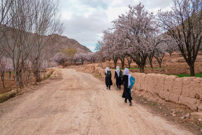 Afghanske jenter på vei til skolen i Sayghandistriktet i Bamiyanprovinsen. Bildet er tatt i juni 2021. Afghanske jenter på vei til skolen i Sayghandistriktet i Bamiyanprovinsen. Bildet er tatt i juni 2021.