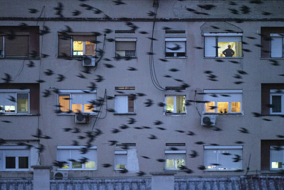 Et leilighetskompleks i byen Veles. Et leilighetskompleks i byen Veles.