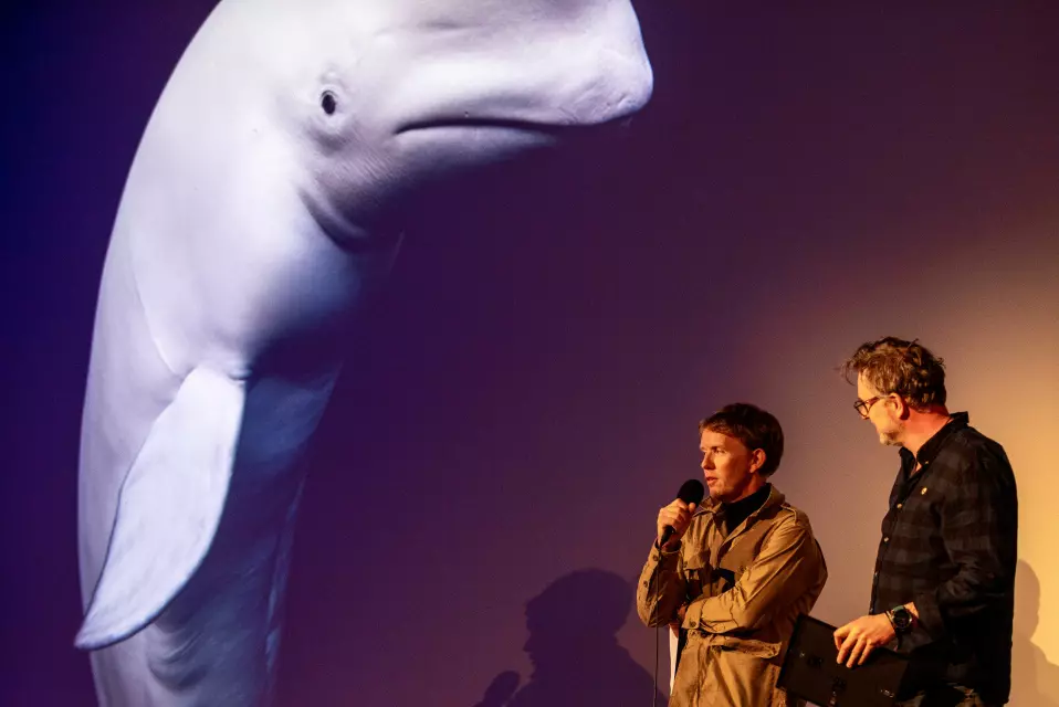 Aleksander Nordahl og Nils Anker har laget saken om hvalen Hvaldimir.