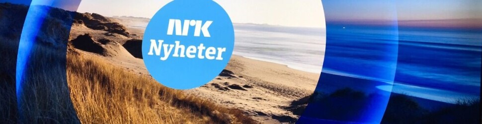 Journalist i NRK Nyheter