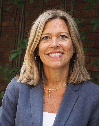 Professor Benedicte Bull. Professor Benedicte Bull.