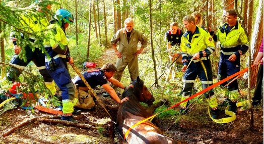 Juryen: Bildet forteller en hel historie alene Juryen: Bildet forteller en hel historie alene