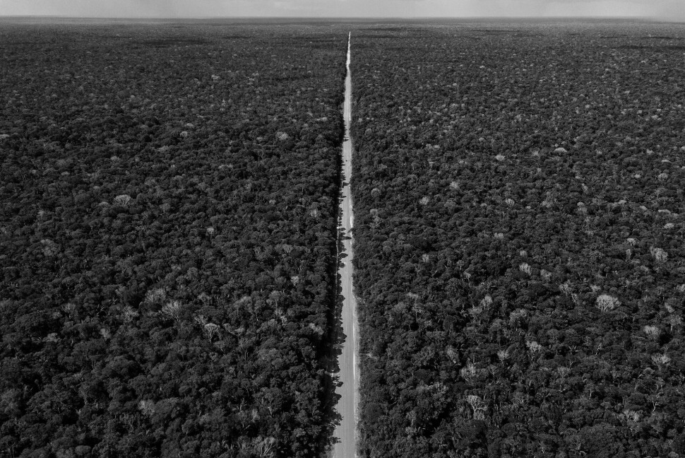 Hovedveien fra Manaus er ikke asfaltert, og det er bra, ifølge Maisonnave. Asfaltert vei betyr mer avskoging.