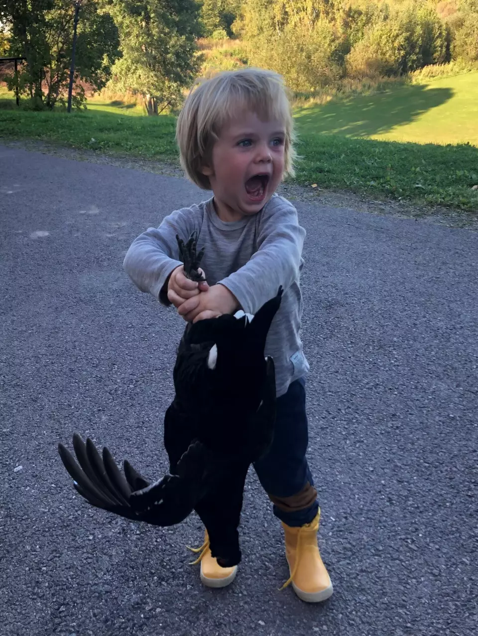 «Hvorfor har du drept orrhanen, pappa?», sier Ola Jordheim Halvorsens tre år gamle sønn.