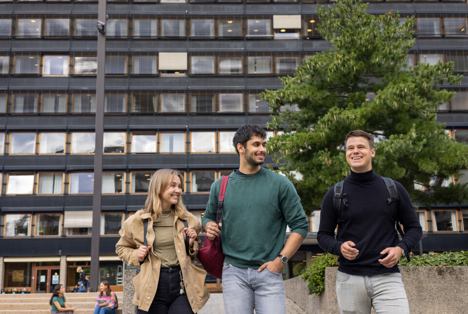 Det humanistiske fakultet (HF) ved Universitetet i Oslo søker frilansere