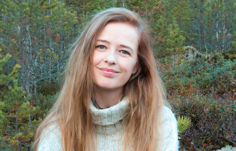 Vilde Sponberg har i sin bacheloroppgave ved Høgskolen i Innlandet analysert dekningen av de fire store rovdyrene i norske riks- og lokalaviser.