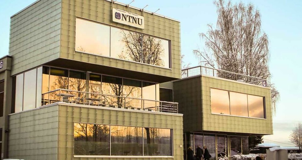 NTNU Universitetsbiblioteket søker kommunikasjons-rådgiver