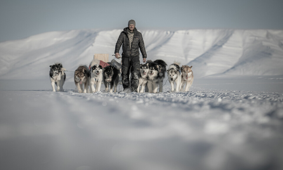Jens Kvernmo med hundespannet han selv har bygget. Det tok flere uker før de fikk kontroll på de halvville grønlandshundene.