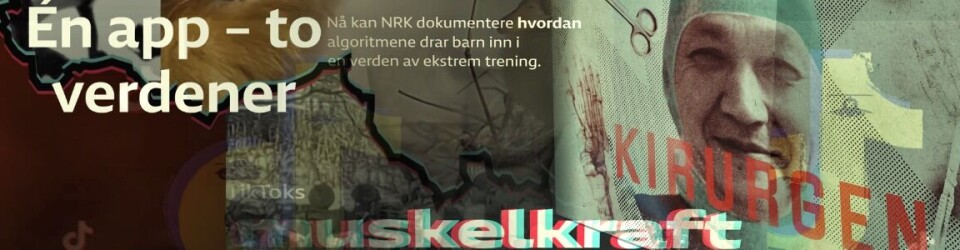 NRK Region sørøst styrker laget med journalister til vår undersøkende redaksjon