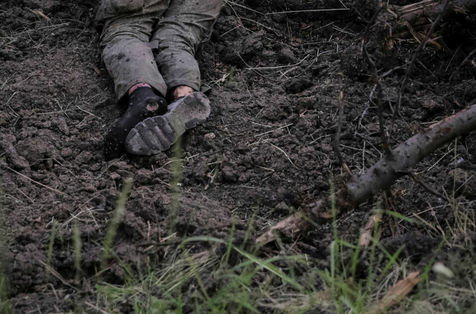 En død russisk soldat ved frontlinjen i Donetsk-området i juni i år.