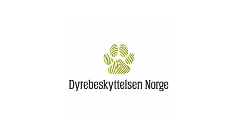 Dyrebeskyttelsen Norge søker allsidig kommunikasjonsansvarlig