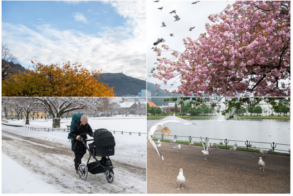 Tok bilde på samme sted i et helt år