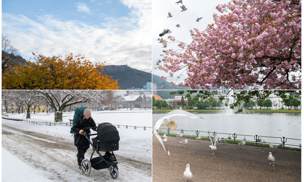 Tok bilde på samme sted i et helt år