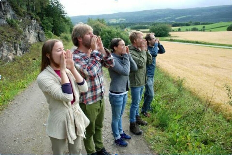 Kauk ut om du vil til seters i sommer