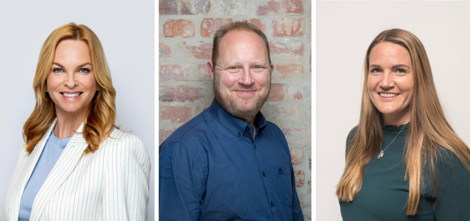 Direktør i NTB Partner, Unni Ødegård, generalsekretær i LLA, Thomas Bruvik og ansvarlig redaktør Lillian Holden i Hallingdølen.